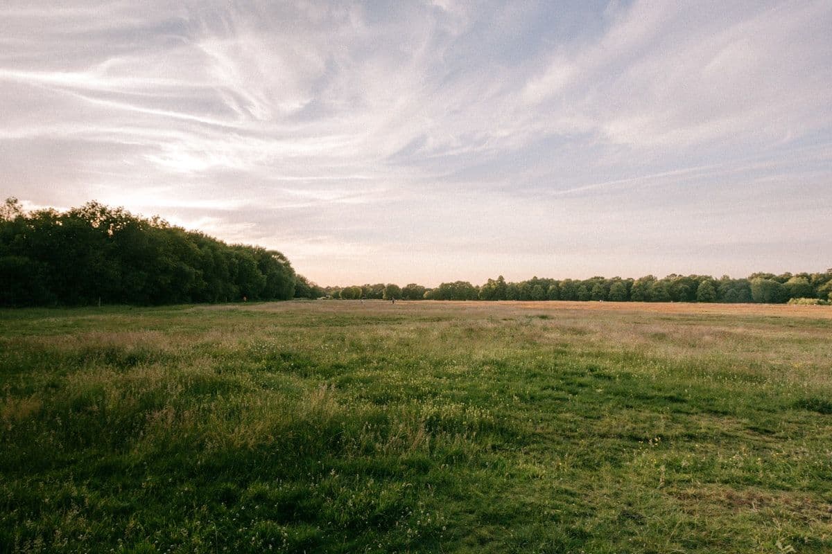 green grass field under cloudy sky during daytime