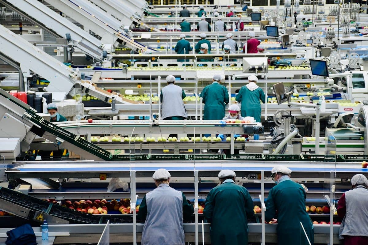 Workforce Attraction